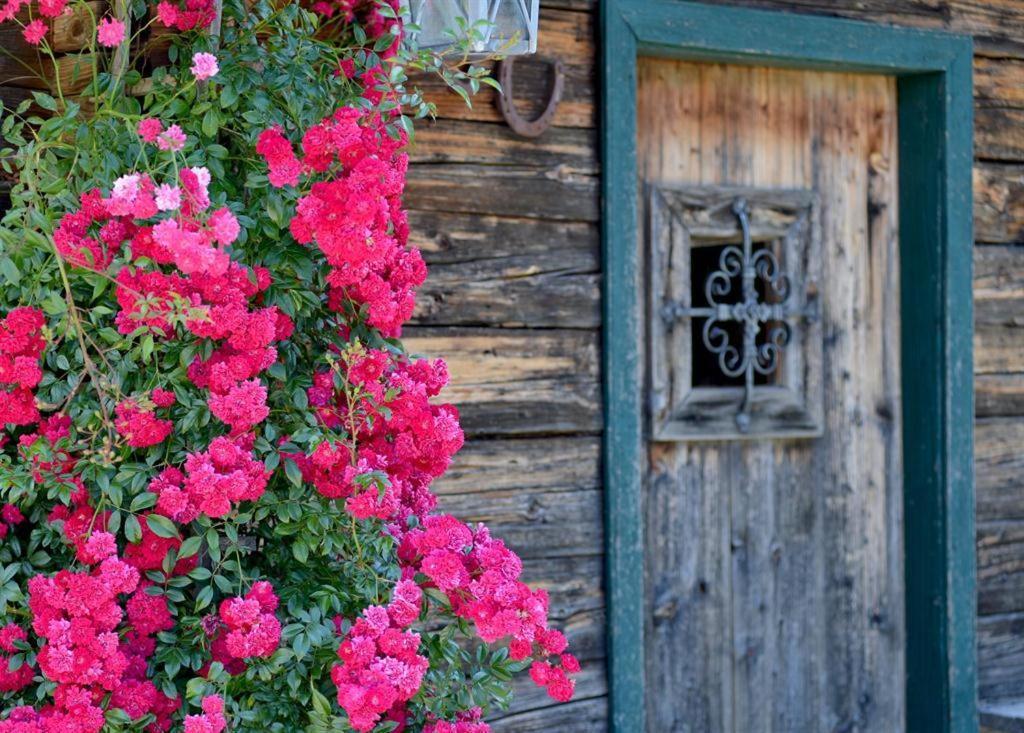 Alpenresidenz Unterrainer Lägenhet Ellmau Exteriör bild